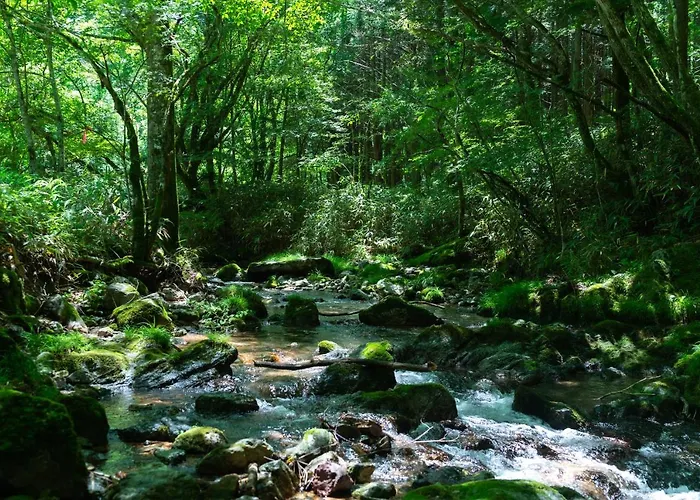 深山山荘 Denchi